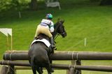 horse hitting a jump 2